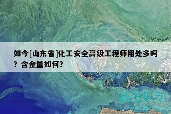 如今[山东省]化工安全高级工程师用处多吗？含金量如何？