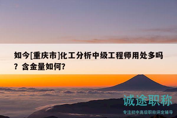如今[重庆市]化工分析中级工程师用处多吗？含金量如何？