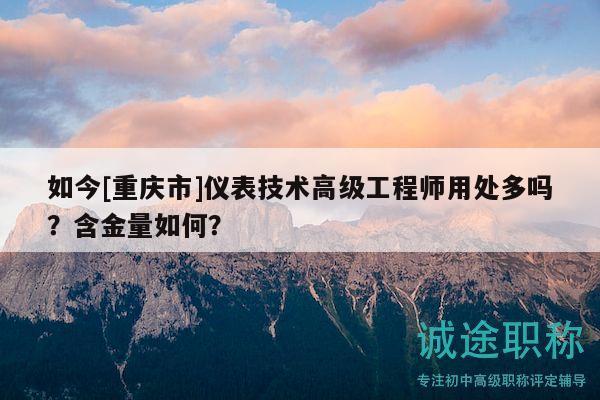 如今[重庆市]仪表技术高级工程师用处多吗？含金量如何？