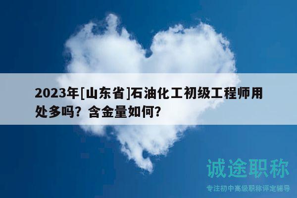 2023年[山东省]石油化工初级工程师用处多吗？含金量如何？