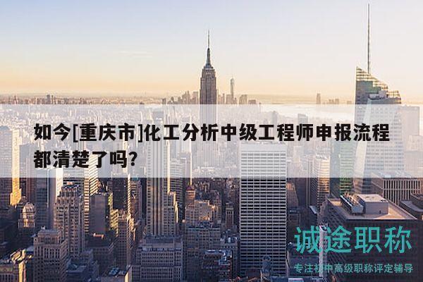 如今[重庆市]化工分析中级工程师申报流程都清楚了吗？
