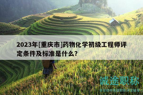 2023年[重庆市]药物化学初级工程师评定条件及标准是什么？