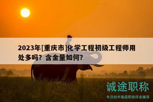 2023年[重庆市]化学工程初级工程师用处多吗？含金量如何？
