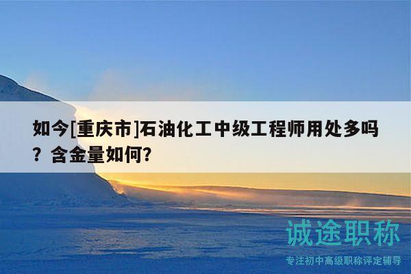 如今[重庆市]石油化工中级工程师用处多吗？含金量如何？