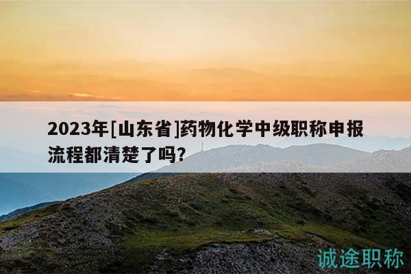 2023年[山东省]药物化学中级职称申报流程都清楚了吗？