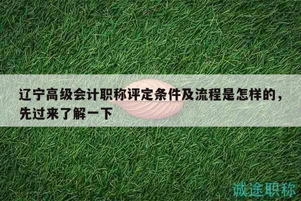 辽宁高级会计职称评定条件及流程是怎样的，先过来了解一下