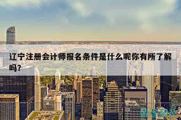 辽宁注册会计师报名条件是什么呢你有所了解吗？