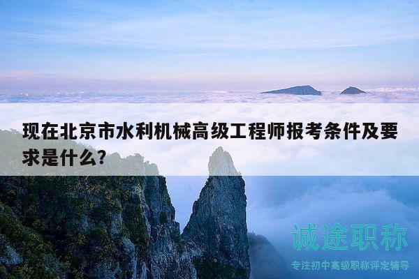 现在北京市水利机械高级工程师报考条件及要求是什么？