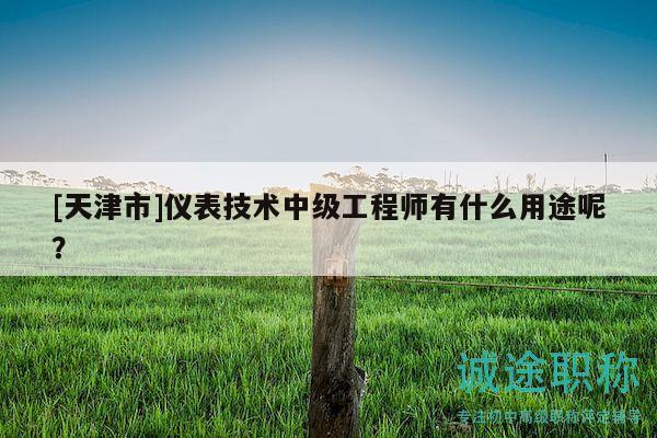 [天津市]仪表技术中级工程师有什么用途呢？