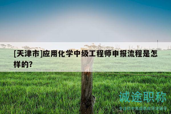 [天津市]应用化学中级工程师申报流程是怎样的？