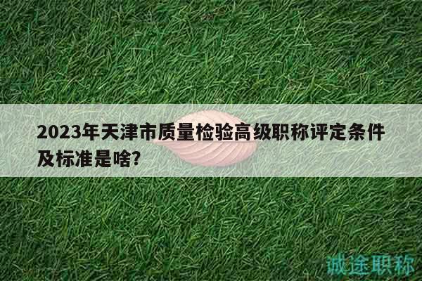 2023年天津市质量检验高级职称评定条件及标准是啥？