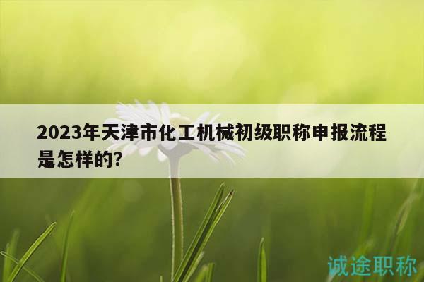2023年天津市化工机械初级职称申报流程是怎样的？