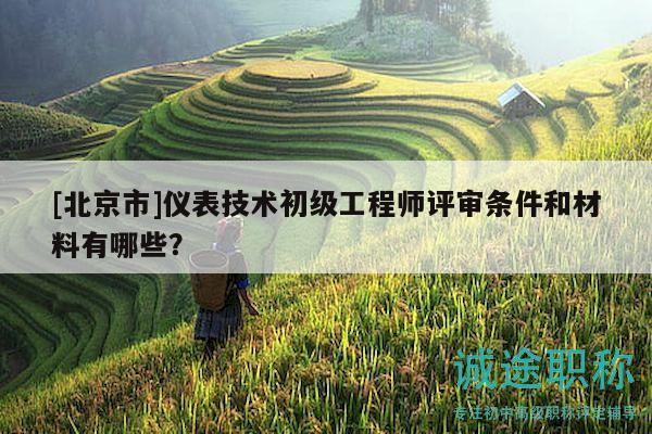 [北京市]仪表技术初级工程师评审条件和材料有哪些？