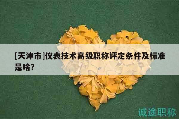 [天津市]仪表技术高级职称评定条件及标准是啥？