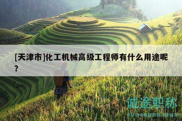 [天津市]化工机械高级工程师有什么用途呢？