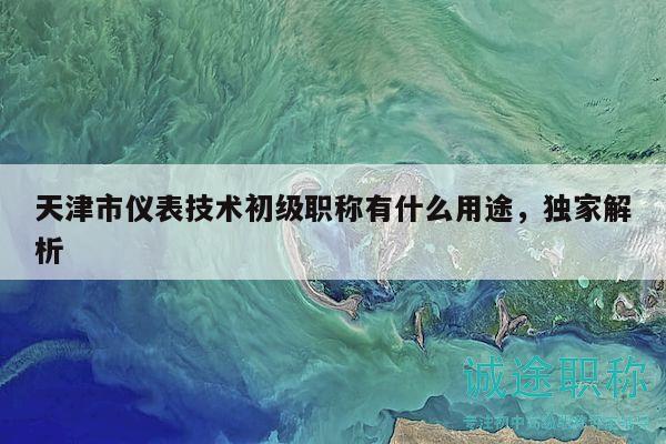 天津市仪表技术初级职称有什么用途，独家解析