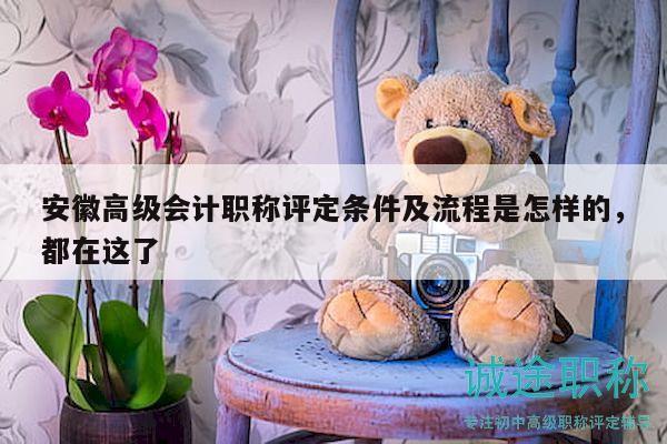 安徽高级会计职称评定条件及流程是怎样的，都在这了