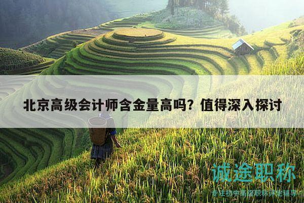 北京高级会计师含金量高吗？值得深入探讨