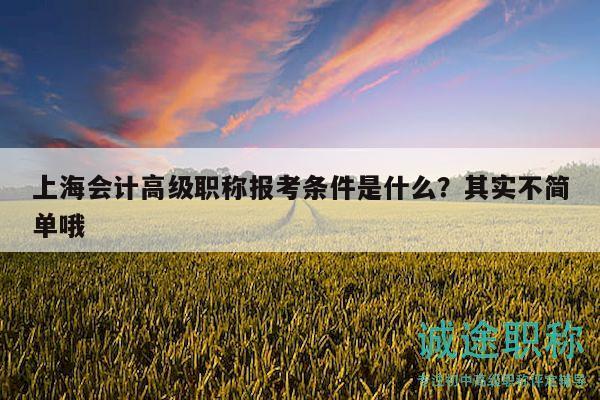 上海会计高级职称报考条件是什么？其实不简单哦